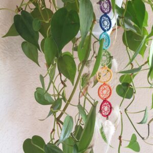 Alternative view of Chakra Traumfänger