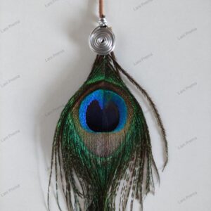 Alternative view of Wunsch Pfauen Federhaarschmuck einzel